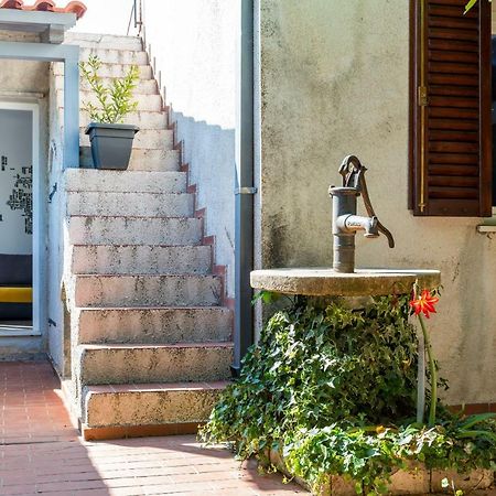 Oasis Of Peace Apartment Dubrovnik Bagian luar foto